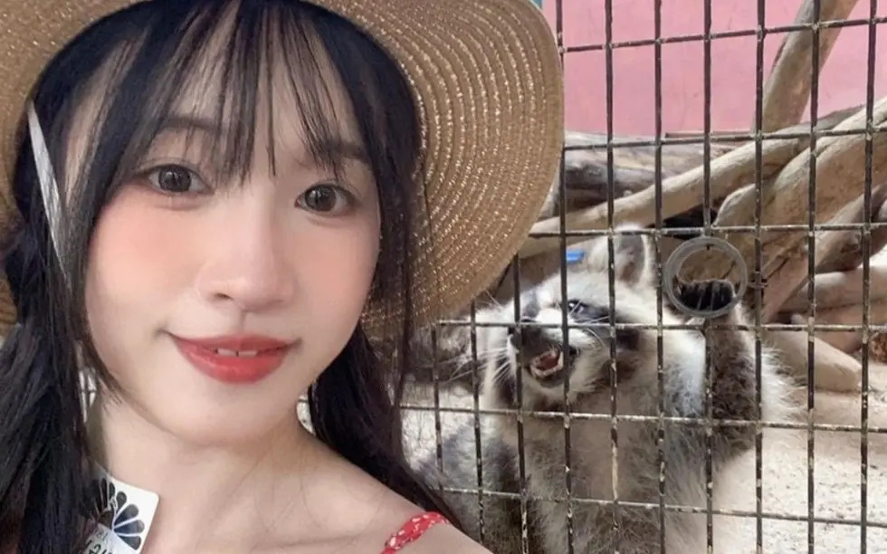 《苏畅》在线观看全集免费无删减-苏畅vlog视频大全-高清1080p版国产女神完整版