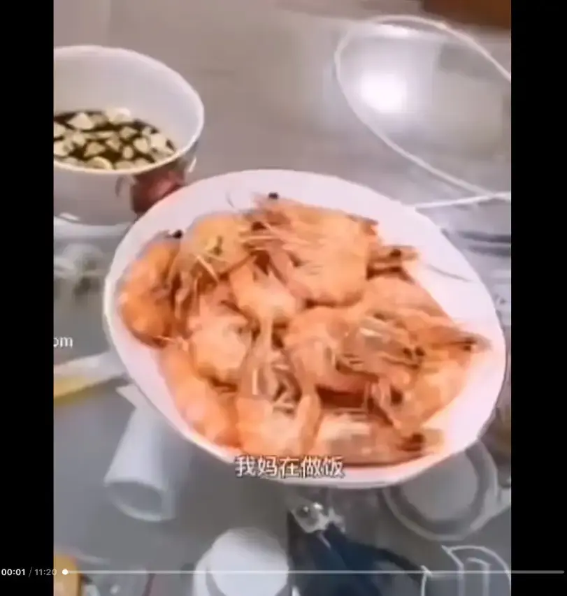 《大虾母子厨房完整版》高清视频免费在线看-猎奇视频揭开梗的神秘面纱-来龙去脉一看就明白