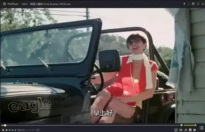 《美丽小蜜桃》高清完整版免费观看-1978年未删减美国喜剧电影在线播放-美丽小蜜桃中字资源