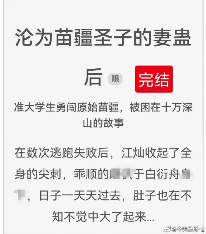 《沦为苗疆圣子的妻蛊后》全集txt免费阅读-狐狸雨原著小说-百度云完结版资源下载