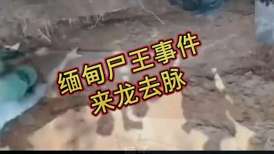 《缅甸僵尸出土事件视频》高清资源下载-缅北僵尸出土始末原视频在线观看免费播放-诡异真相解密完整版超清未删减全程录像